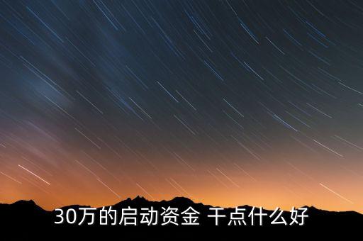 30萬的啟動資金 干點什么好