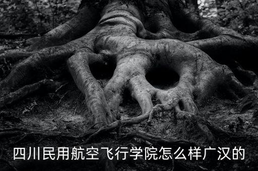 南航董事長叫什么，上海則一董事長是誰