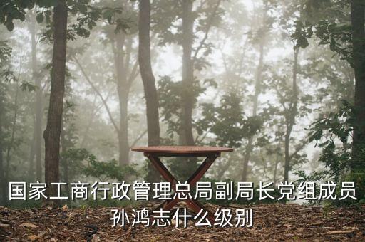 孫鴻志什么罪，等勛公司老板后來因什么罪被槍斃的