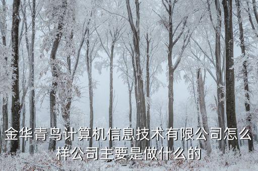 青鳥(niǎo)華光是做什么的，送機(jī)員是做什么的
