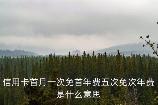 年首月什么意思，信用卡首月一次免首年費(fèi)五次免次年費(fèi)是什么意思