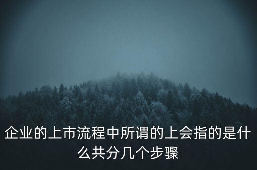 什么是項(xiàng)目上會(huì)，企業(yè)的上市流程中所謂的上會(huì)指的是什么共分幾個(gè)步驟