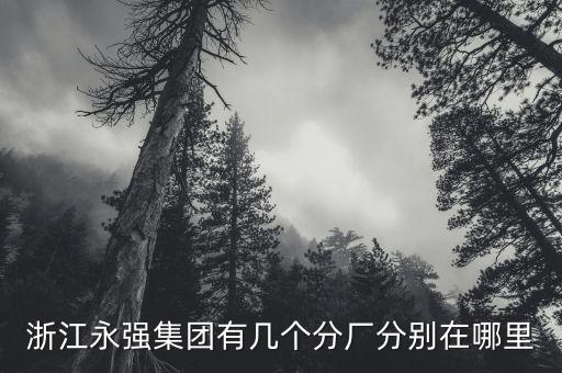 浙江永強集團有幾個分廠分別在哪里