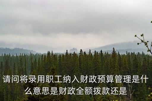 請問將錄用職工納入財政預算管理是什么意思是財政全額撥款還是