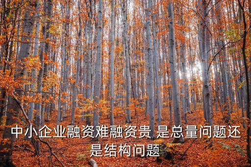 融資難融資貴的是什么意思，中小企業(yè)融資難融資貴 是總量問(wèn)題還是結(jié)構(gòu)問(wèn)題