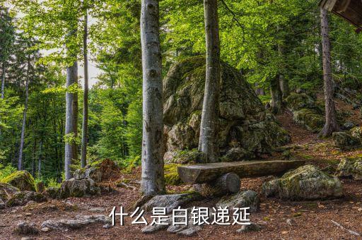 什么是白銀遞延