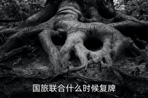 國旅聯(lián)合什么時候復牌