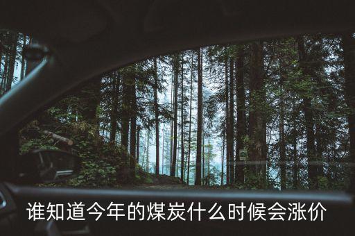 誰(shuí)知道今年的煤炭什么時(shí)候會(huì)漲價(jià)