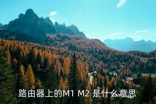 路由器上的M1 M2 是什么意思