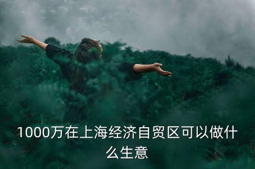 1000萬在上海經(jīng)濟自貿(mào)區(qū)可以做什么生意