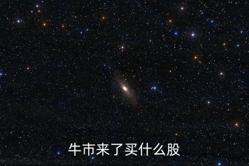 牛市后期買什么股票，牛市來了買什么股