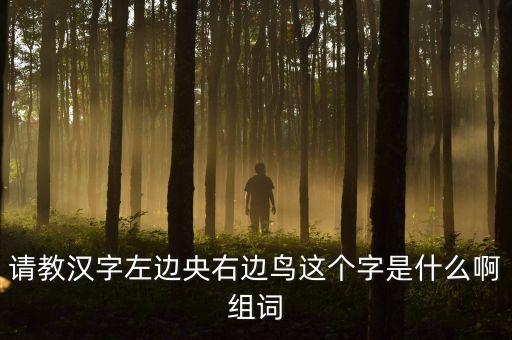 請(qǐng)教漢字左邊央右邊鳥這個(gè)字是什么啊組詞