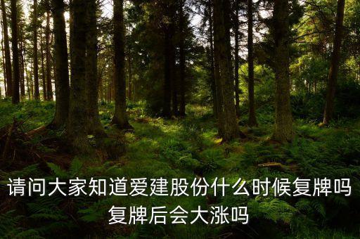 愛(ài)建集團(tuán)什么時(shí)候復(fù)牌最新公告，600303什么時(shí)間復(fù)牌
