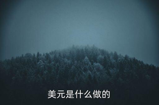 美元是什么做的