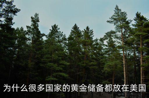 美國為什么會有那么多黃金儲備，美國為何有那么大的黃金儲備謝謝了