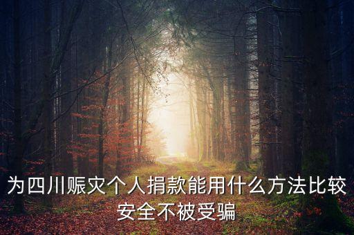 對賑災(zāi)捐款有什么建議，為四川賑災(zāi)個(gè)人捐款能用什么方法比較安全不被受騙