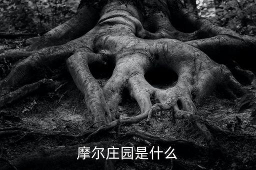 中國(guó)為什么訪問(wèn)捷克，電腦裝了360和Z武器還要裝什么殺毒軟件