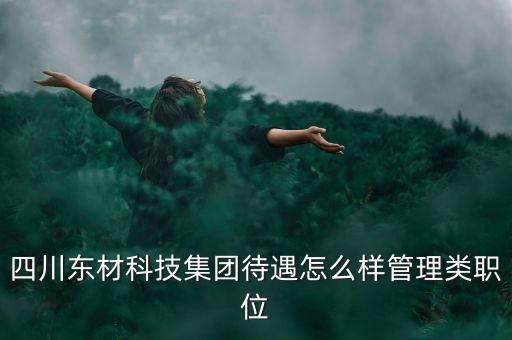 東材科技什么題材，四川東材科技集團(tuán)待遇怎么樣管理類職位