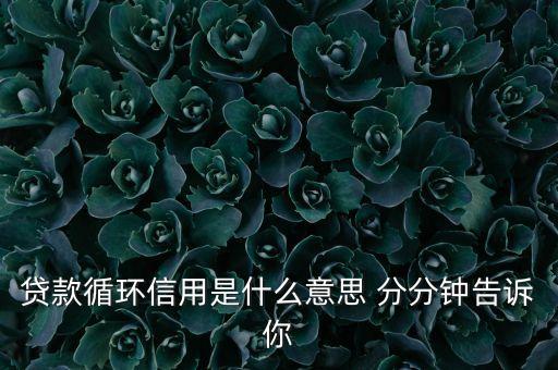貸款循環(huán)信用是什么意思 分分鐘告訴你