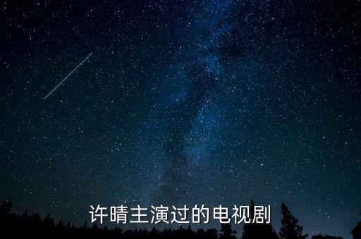 許晴主演過的電視劇