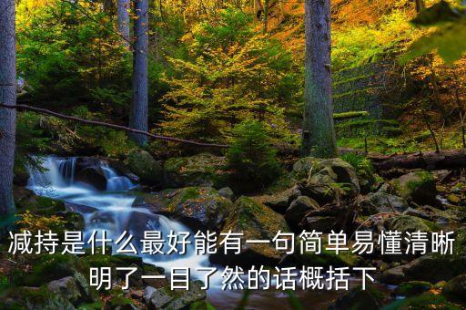 什么叫中央?yún)R金減持，請問股市里的減持是什么意思對股民有什么損失嗎謝謝了