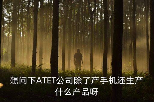 想問下ATET公司除了產(chǎn)手機還生產(chǎn)什么產(chǎn)品呀