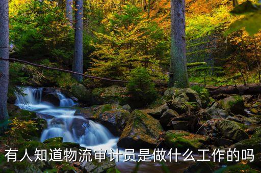 有人知道物流審計(jì)員是做什么工作的嗎