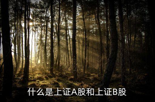 什么股票屬于上證，什么股票代碼屬于上證指數(shù)1A0001