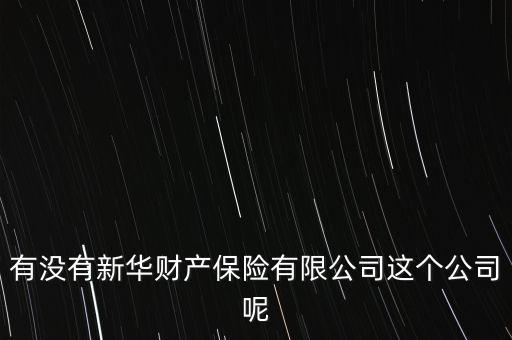 新華保險(xiǎn)為什么沒(méi)有財(cái)險(xiǎn)，有沒(méi)有新華財(cái)產(chǎn)保險(xiǎn)有限公司這個(gè)公司呢