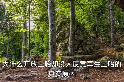 為什么開放二胎卻沒人愿意再生二胎的真實(shí)原因