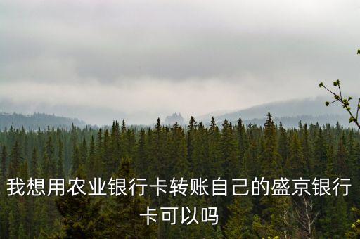 農(nóng)網(wǎng)還貸是什么意思，我想用農(nóng)業(yè)銀行卡轉(zhuǎn)賬自己的盛京銀行卡可以嗎