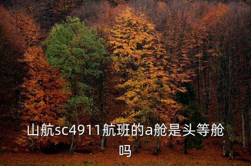 山航頭等艙a是什么，山航濟南飛麗江sc4639波音737中經(jīng)濟艙第三排開始第五排