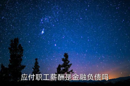 應付職工薪酬是金融負債嗎