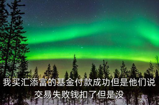 我買匯添富的基金付款成功但是他們說交易失敗錢扣了但是沒