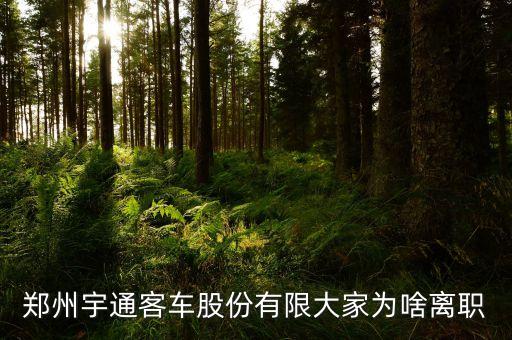 吳項林為什么離開宇通，宇通是怎么了