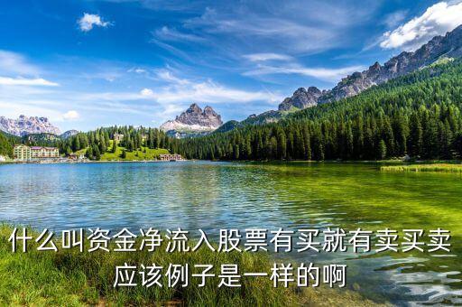 什么叫資金凈流入股票有買就有賣買賣應(yīng)該例子是一樣的啊