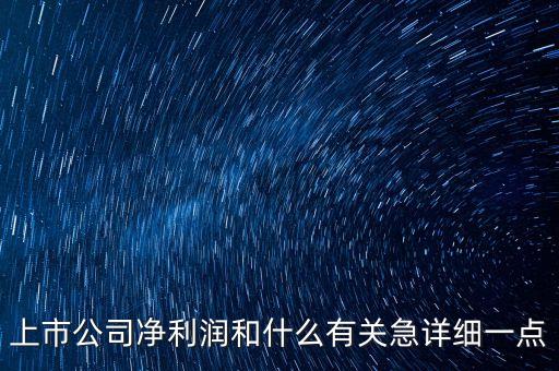 上市公司為什么要這么多凈利潤(rùn)，上市公司凈利潤(rùn)和什么有關(guān)急詳細(xì)一點(diǎn)