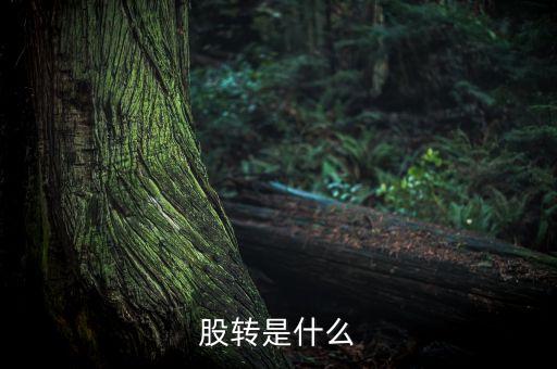 股轉(zhuǎn)是什么