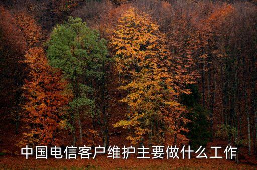 客戶維護(hù)都干什么，中國電信客戶維護(hù)主要做什么工作