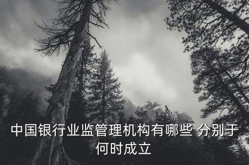 中國銀行業(yè)監(jiān)管理機構有哪些 分別于何時成立