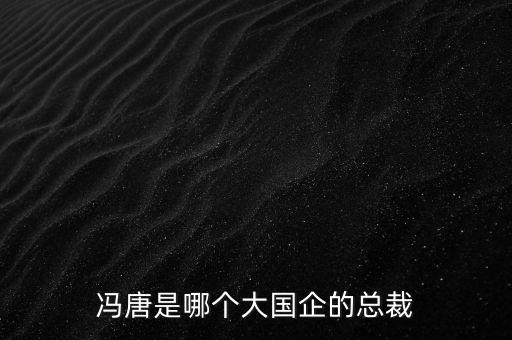 馮唐在華潤做什么，馮唐張海鵬現(xiàn)在從事什么職業(yè)
