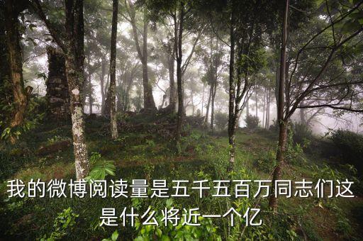 將近一個億啊什么梗，朋友圈最近有個一個億的梗是怎么回事什么設(shè)一個能實現(xiàn)的短期目