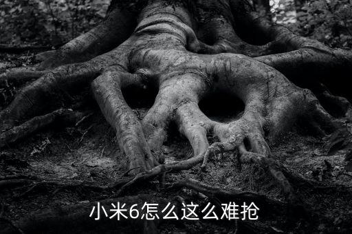 小米6怎么這么難搶