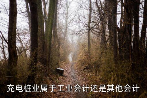 充電樁安裝屬于什么行業(yè)，充電樁是否可以加入物業(yè)的經(jīng)營(yíng)范圍充電樁的收入歸屬物業(yè)是否合法
