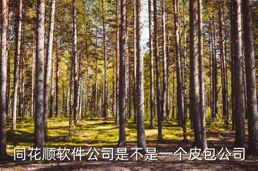 同花順是什么，同花順軟件公司是不是一個(gè)皮包公司