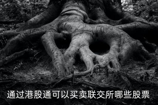 通過港股通可以買賣聯(lián)交所哪些股票