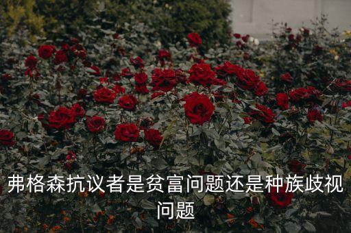 弗格森警察為什么槍殺黑人，弗格森抗議者是貧富問題還是種族歧視問題