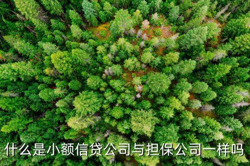 什么是小額信貸公司與擔(dān)保公司一樣嗎
