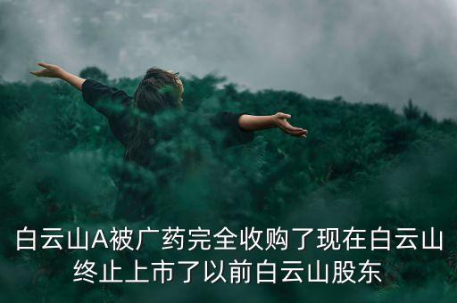 白云山A被廣藥完全收購(gòu)了現(xiàn)在白云山終止上市了以前白云山股東