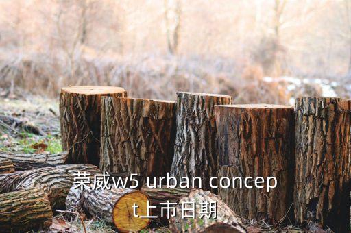 榮威w5概念車什么時候上市，榮威w5概念版什么時候上市